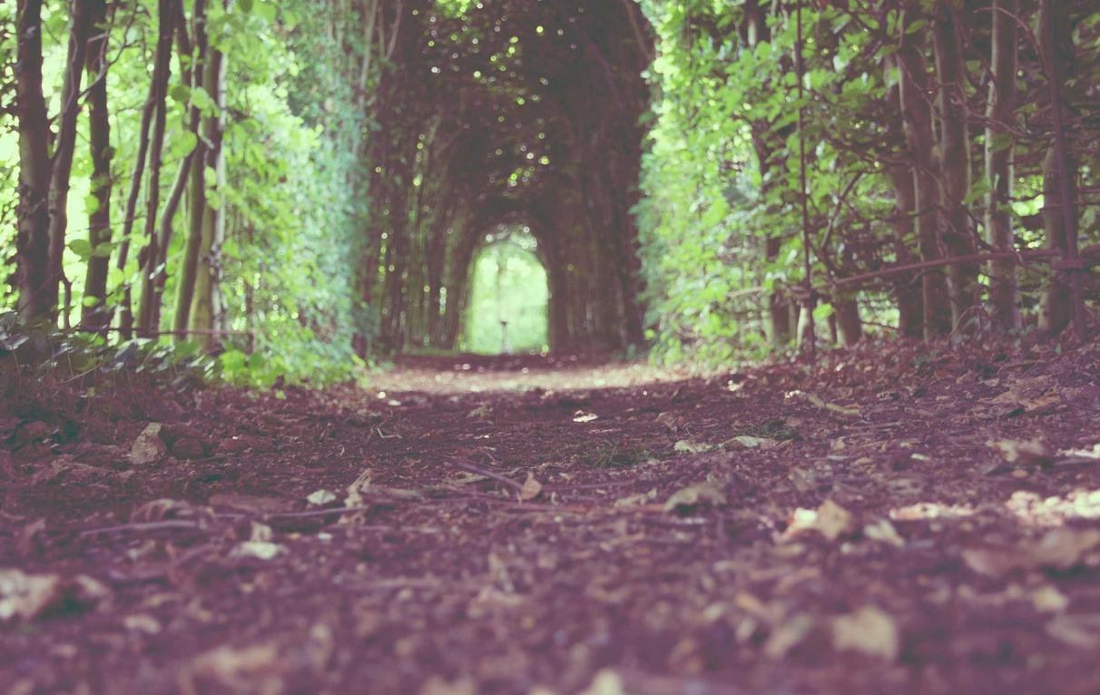 Adipisci corrupti omnis porro et praesentium vel atque ipsum consequuntur et voluptas