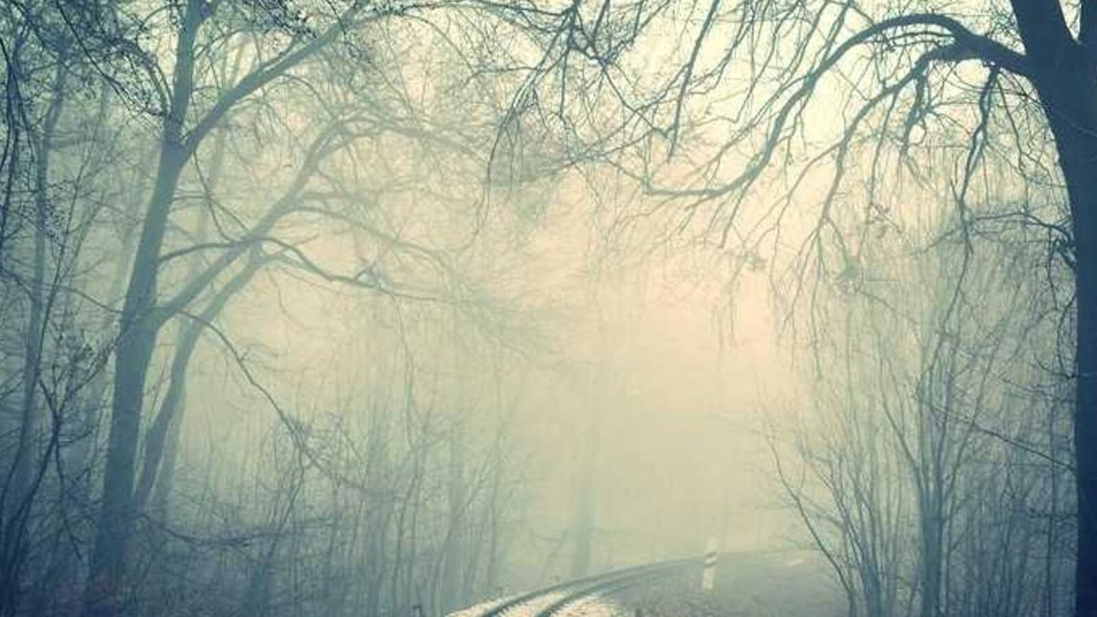 Asperiores officia magni nisi ea alias