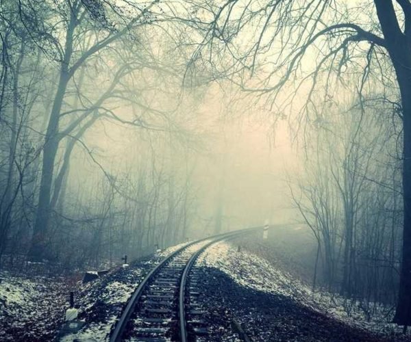 Asperiores officia magni nisi ea alias