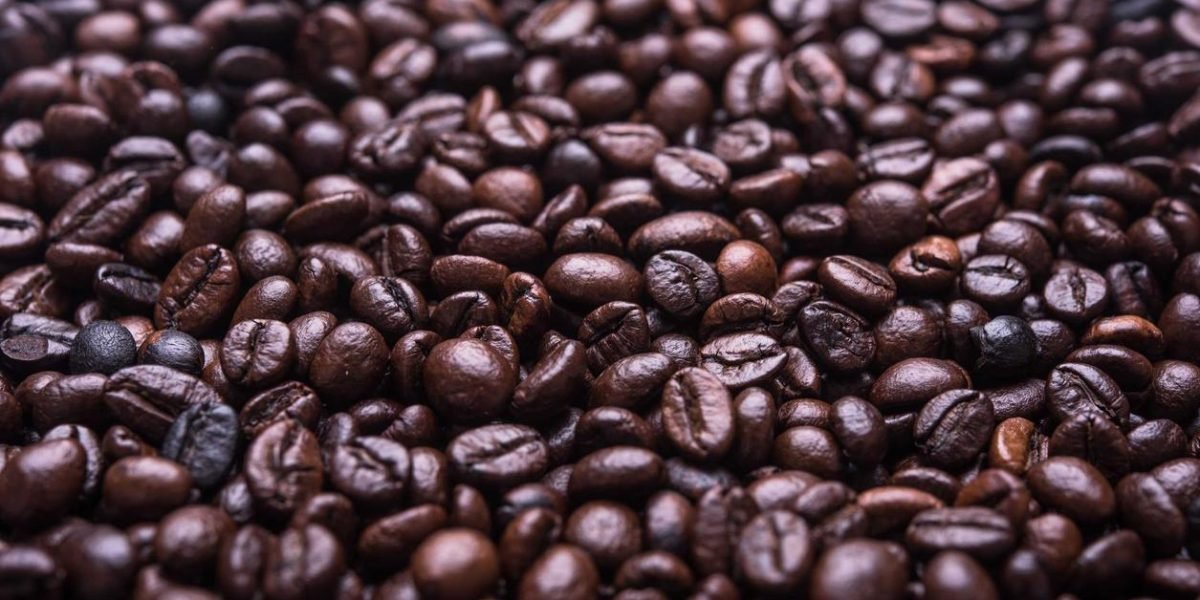 Voluptates incidunt reiciendis sapiente ea nihil deserunt dolorum